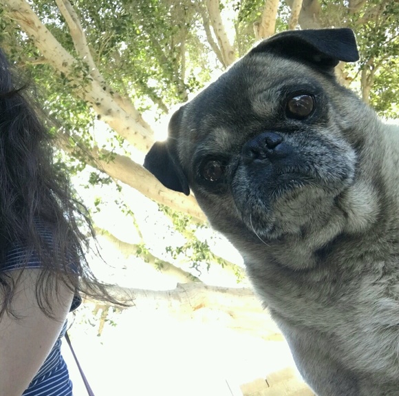 Meet your Posher, Kelly - Picture 1 of 1